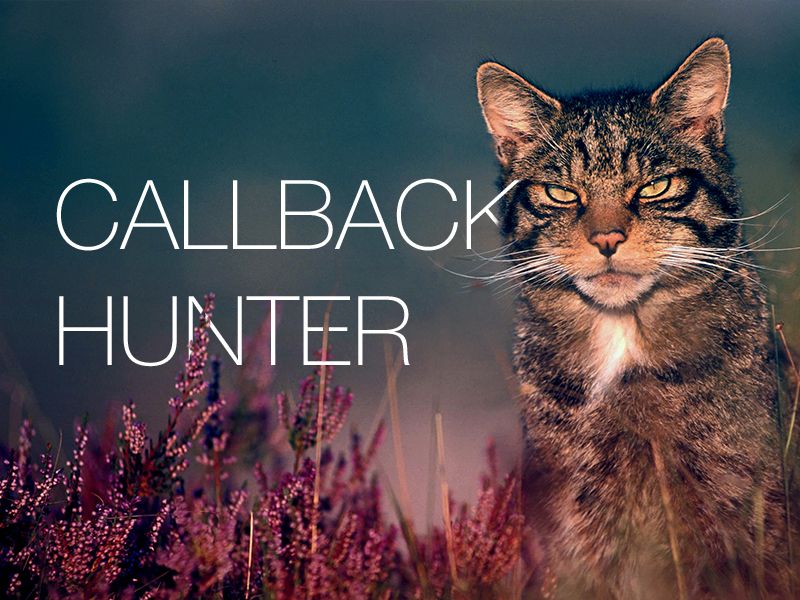 Расширение Callbackhunter стало доступно для Google Chrome