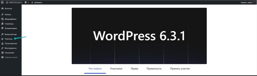 Установка кода через плагин «Widget Envybox» на WordPress