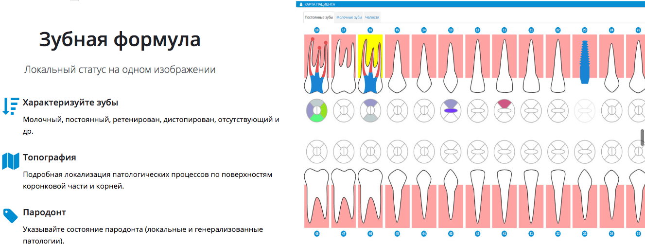 Описание зубной формулы на сайте Dentist Plus