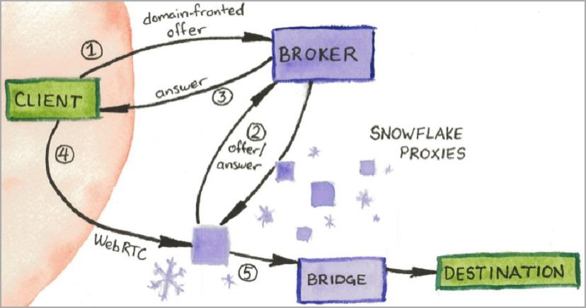Новая функция браузера Brave Snowflake помогает обходить блокировки Tor