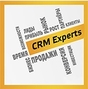 CRM Experts