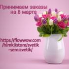 Светлана Вережникова